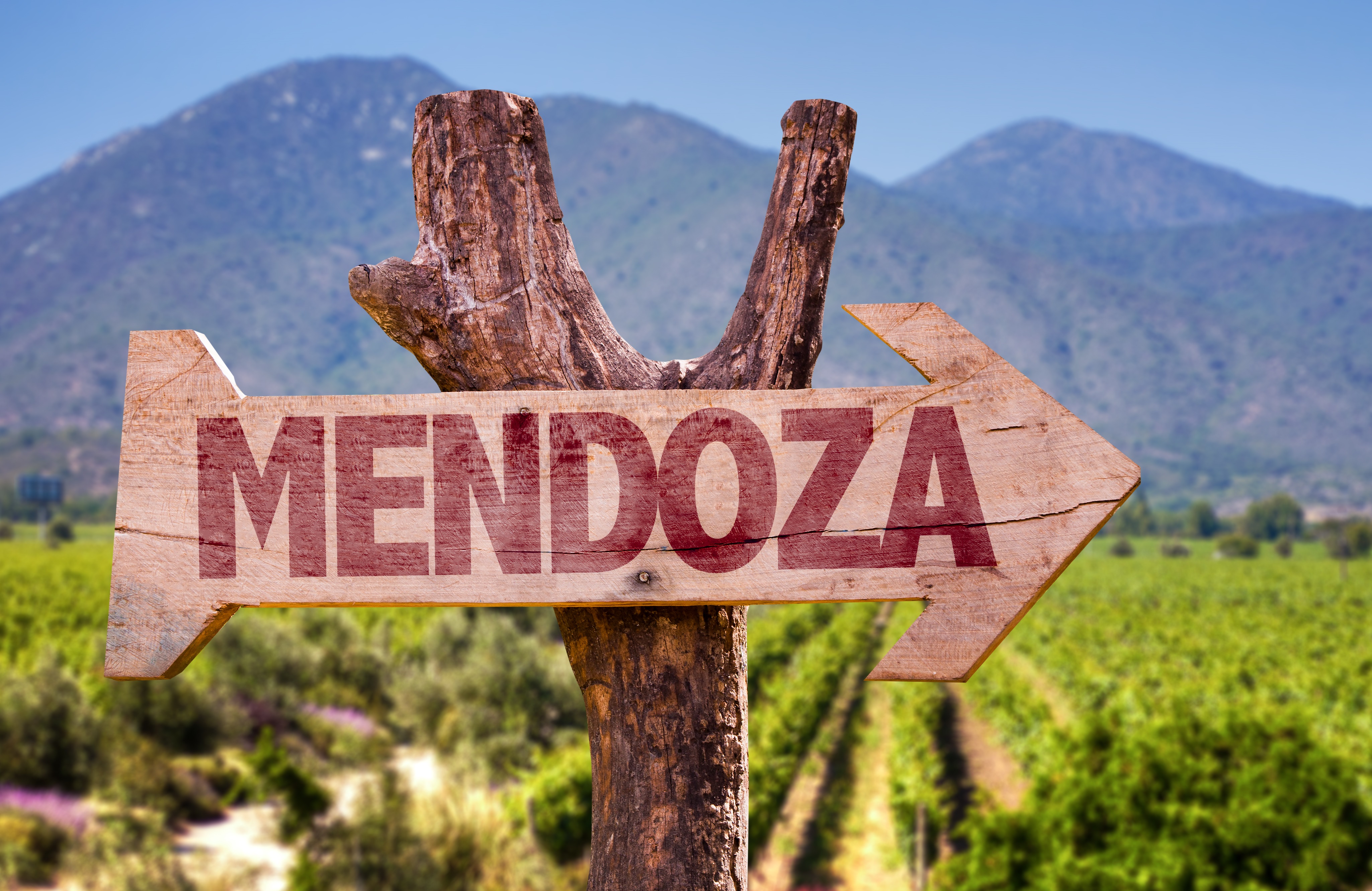 Mendoza sign